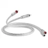 QED Signature Audio 40 Stereo Phono / RCA Cable 3m (Pair)