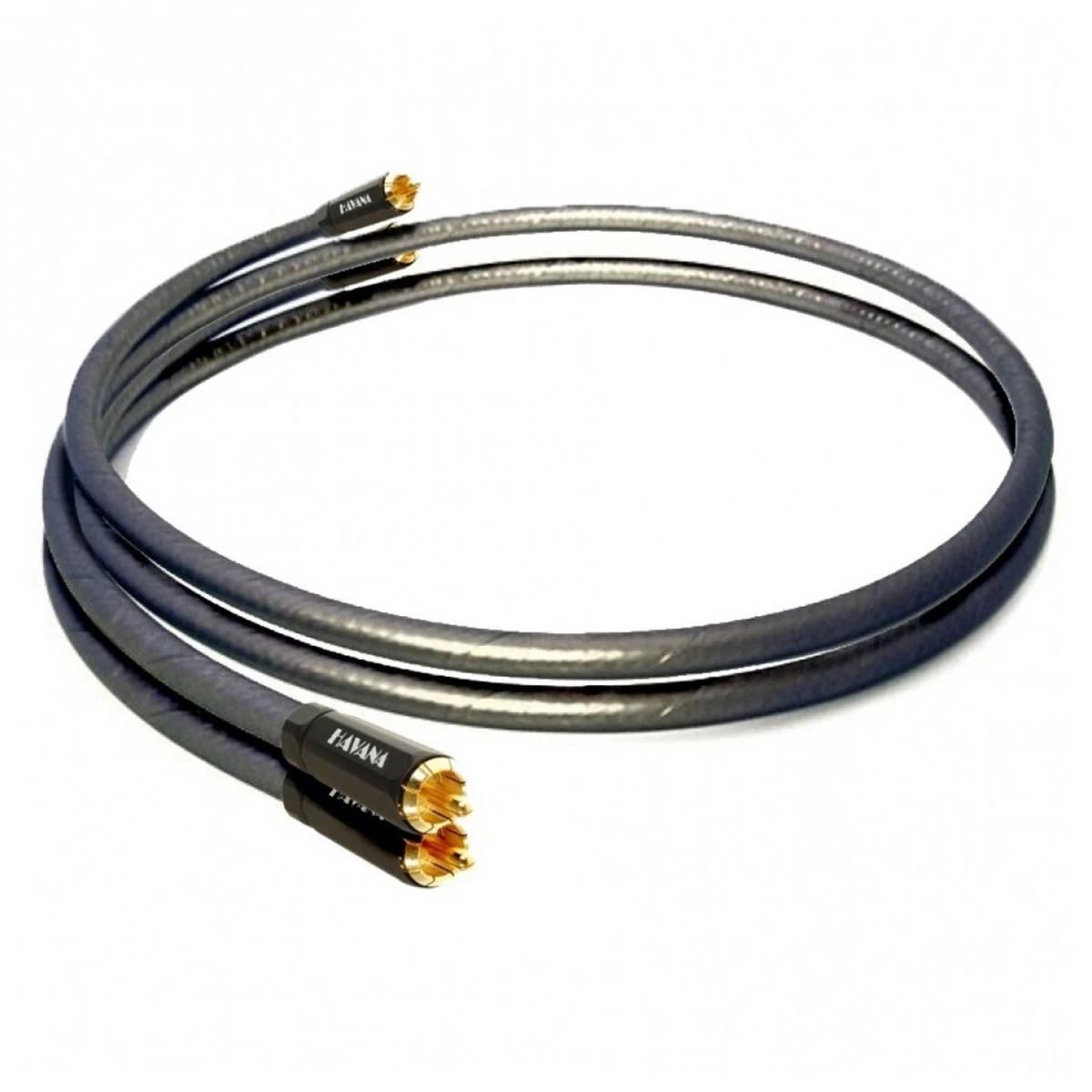 Audiolab 6000N Play Audio Streamer, Black W/ Free Phono Cable - Image 3